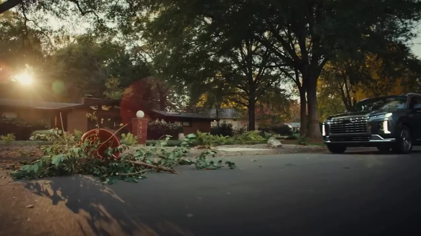 SUV in a leafy driveway